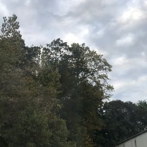 Meet your Posher, Circe